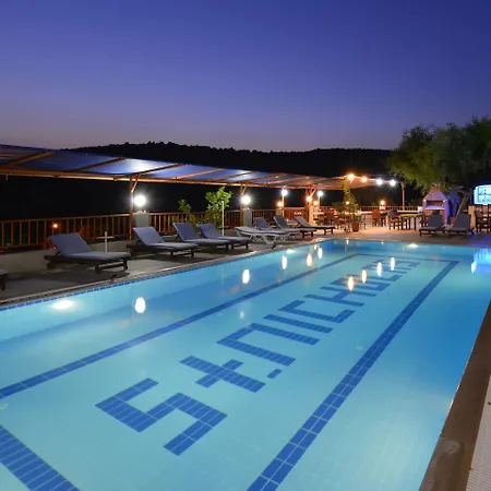 Patara Delfin Gelemiş