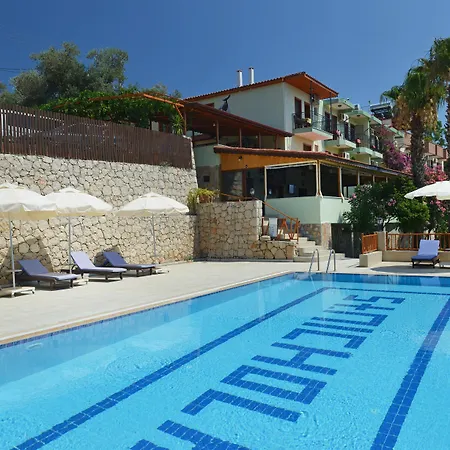 Patara Delfin Gelemiş