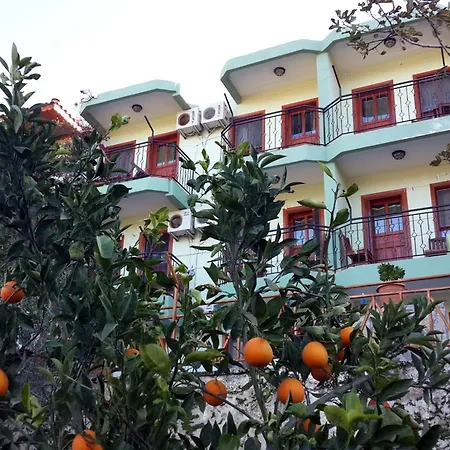 Patara Delfin Gelemiş