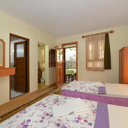 Otel Patara Delfin Gelemiş