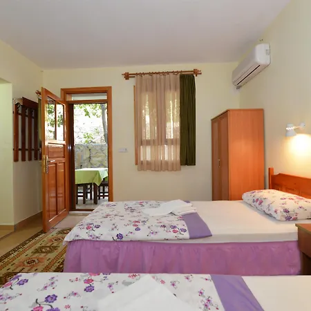 Patara Delfin Gelemiş