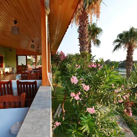 Patara Delfin Gelemiş