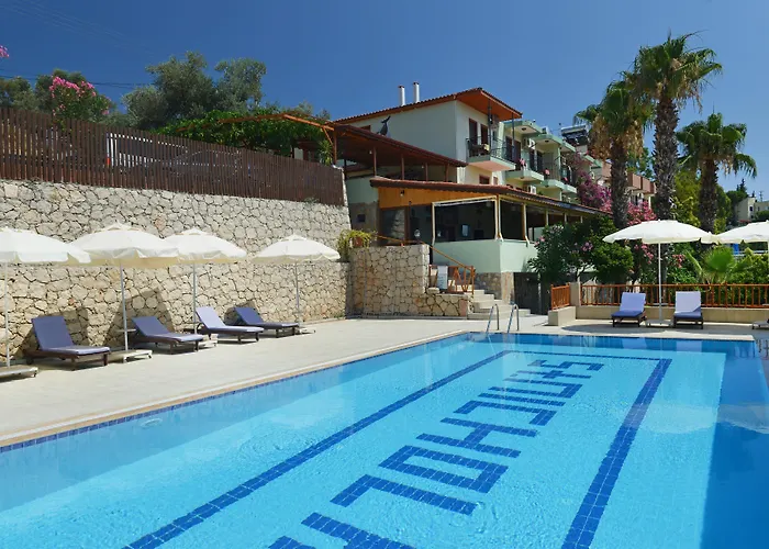 Patara Delfin Gelemiş