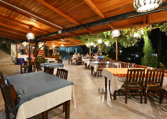 Hotel Patara Delfin Gelemiş