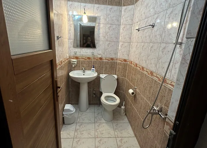 Patara Delfin * Gelemiş