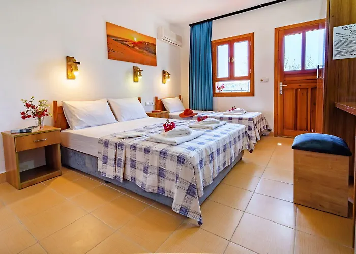 Patara Delfin Hotel *