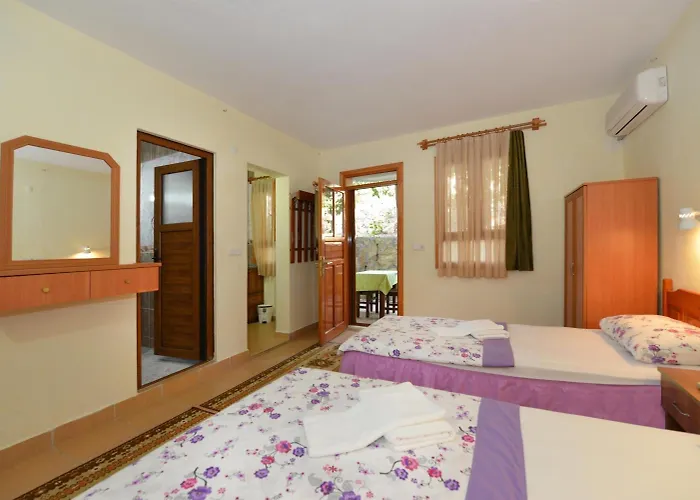 Hotel Patara Delfin Gelemiş