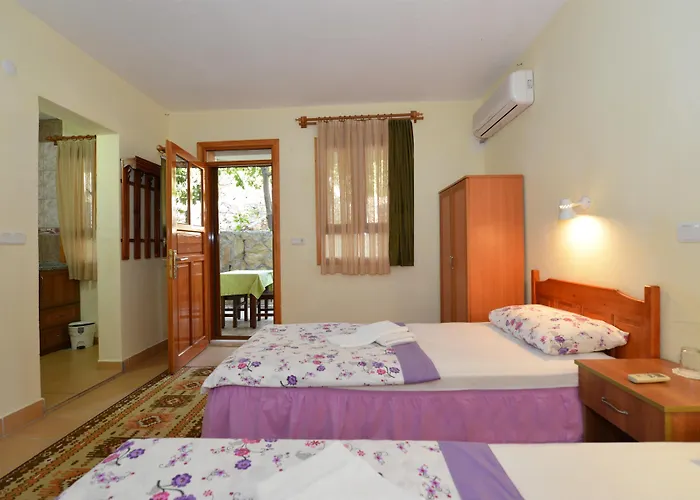 Patara Delfin Gelemiş