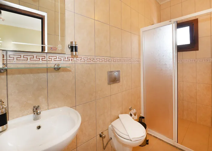 Hotel Patara Delfin Gelemiş