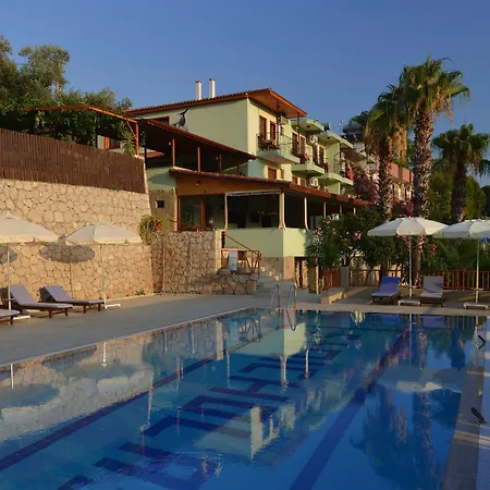 Patara Delfin Gelemiş