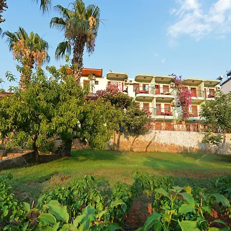 Patara Delfin Szálloda