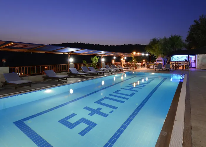 Patara Delfin Gelemiş