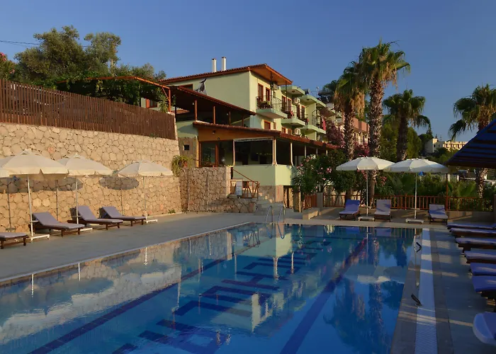 Patara Delfin Gelemiş