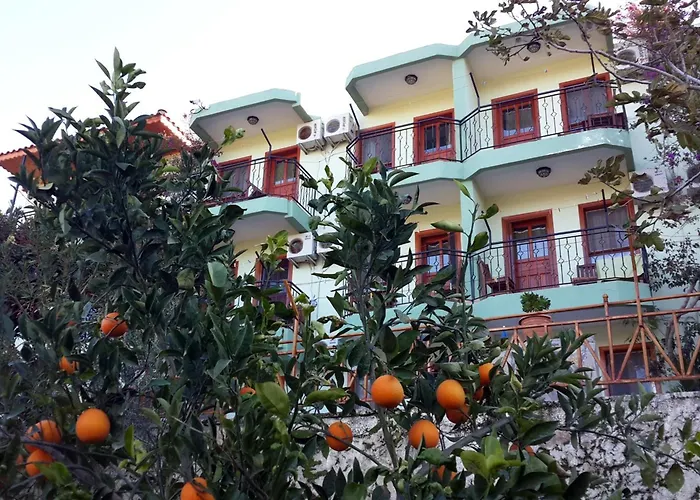 Patara Delfin Gelemiş